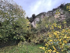 Photo 43- click for photo gallery